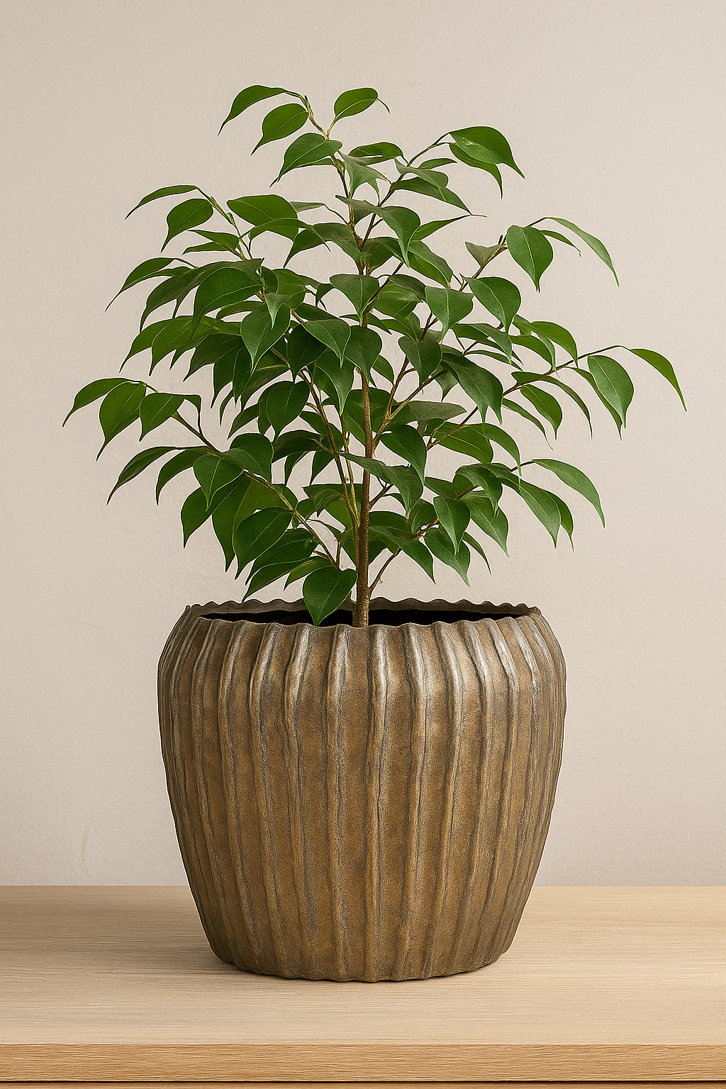 Noma Pot
